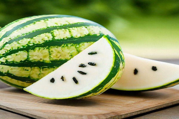 تصویر 4 از خرید هندوانه هولار سفید + قیمت فروش استثنایی